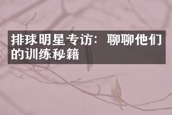 排球明星专访：聊聊他们的训练秘籍