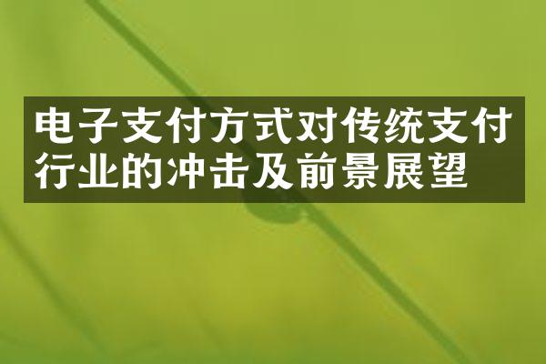 电子支付方式对传统支付行业的冲击及前景展望