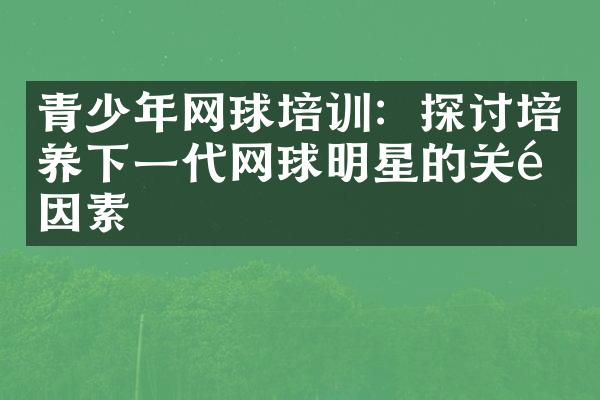 青少年网球培训：探讨培养下一代网球明星的关键因素