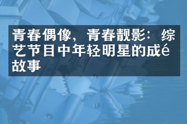 青春偶像，青春靓影：综艺节目中年轻明星的成长故事