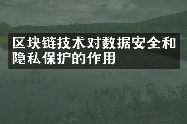 区块链技术对数据安全和隐私保护的作用