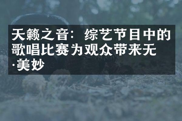 天籁之音：综艺节目中的歌唱比赛为观众带来无穷美妙