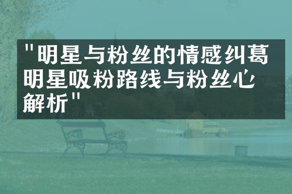 "明星与粉丝的情感纠葛：明星吸粉路线与粉丝心理解析"