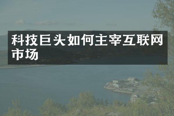 科技巨头如何主宰互联网市场