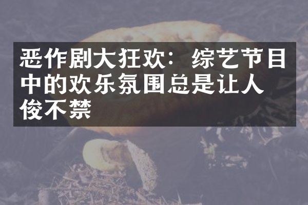 恶作剧大狂欢：综艺节目中的欢乐氛围总是让人忍俊不禁