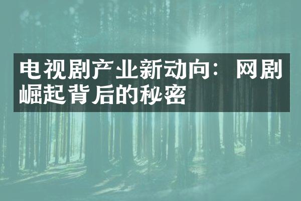 电视剧产业新动向：网剧崛起背后的秘密