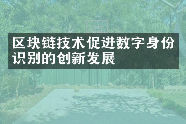 区块链技术促进数字身份识别的创新发展