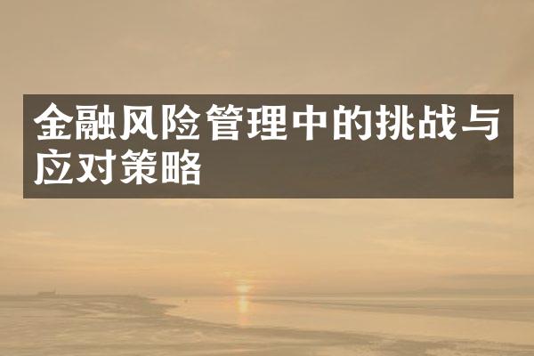 金融风险管理中的挑战与应对策略