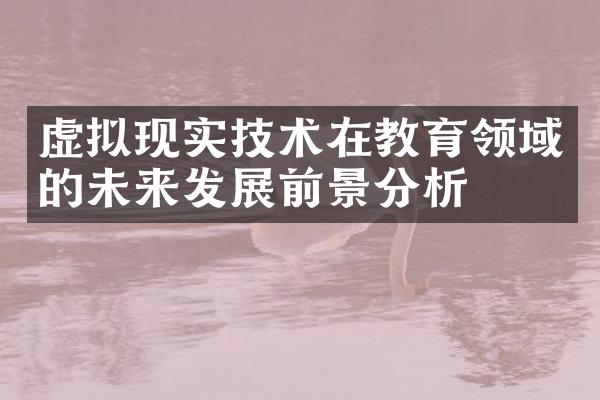 虚拟现实技术在教育领域的未来发展前景分析