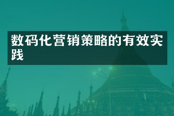 数码化营销策略的有效实践