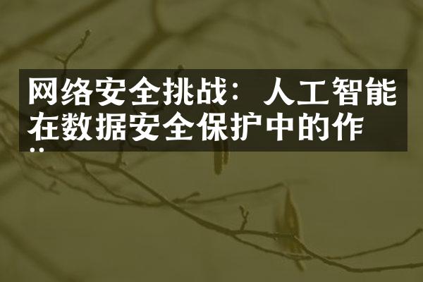 网络安全挑战：人工智能在数据安全保护中的作用