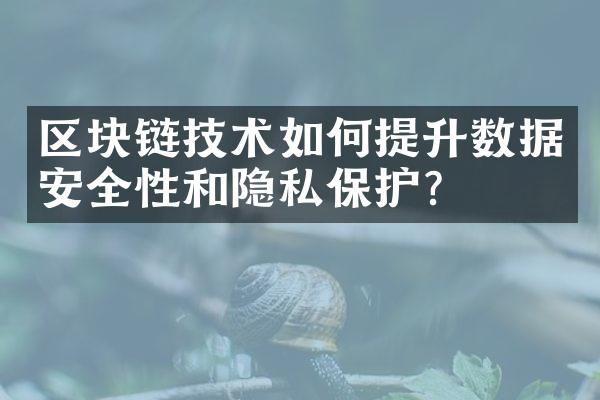 区块链技术如何提升数据安全性和隐私保护？