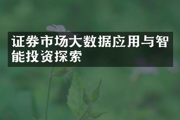 证券市场大数据应用与智能投资探索