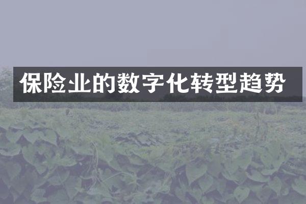 保险业的数字化转型趋势