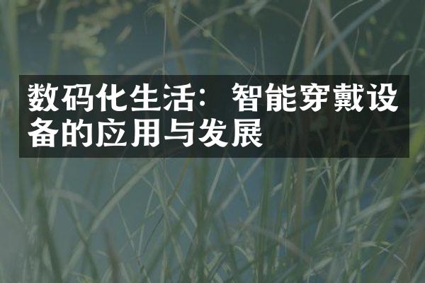 数码化生活：智能穿戴设备的应用与发展