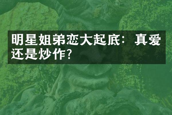 明星姐弟恋大起底：真爱还是炒作？