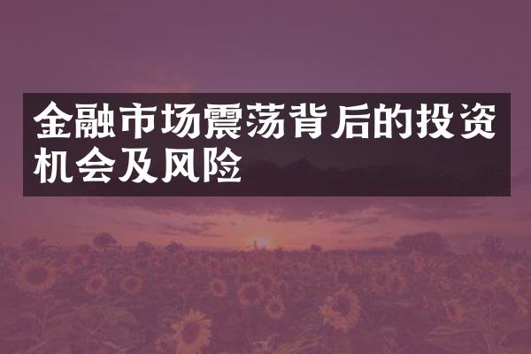 金融市场震荡背后的投资机会及风险