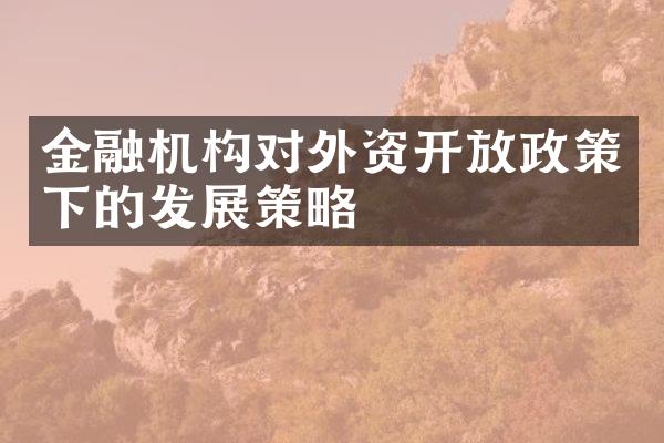 金融机构对外资开放政策下的发展策略