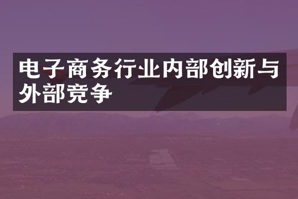 电子商务行业内部创新与外部竞争