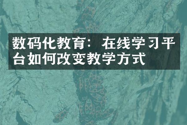 数码化教育：在线学习平台如何改变教学方式