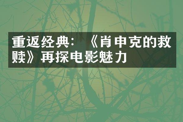 重返经典：《肖申克的救赎》再探电影魅力