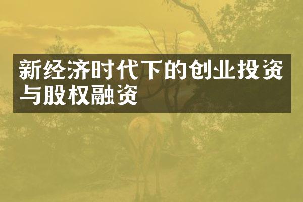 新经济时代下的创业投资与股权融资