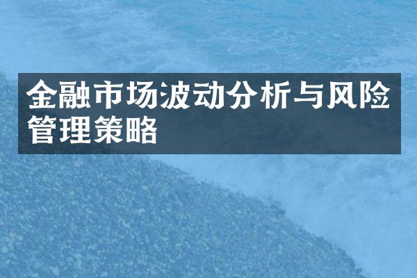 金融市场波动分析与风险管理策略