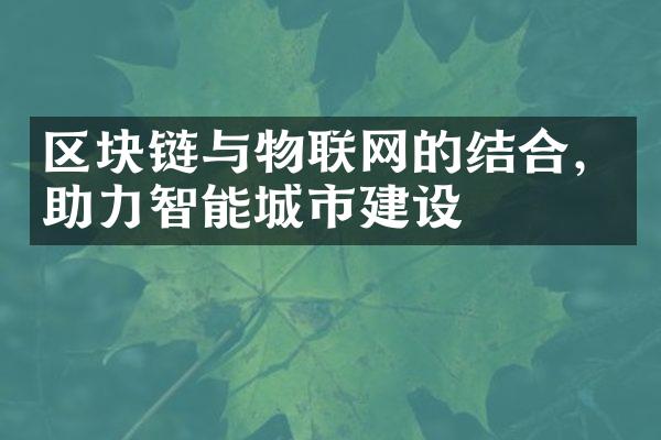 区块链与物联网的结合，助力智能城市建设