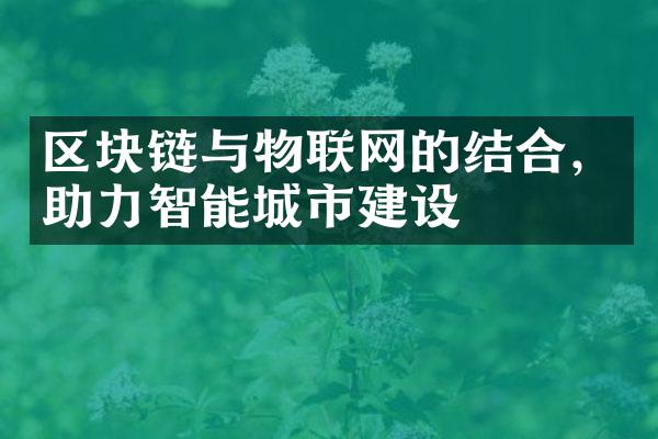 区块链与物联网的结合，助力智能城市建设