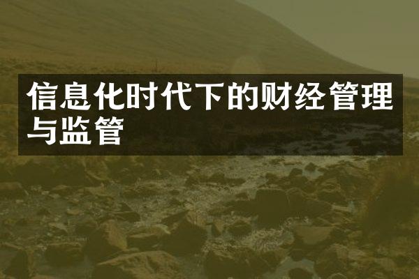 信息化时代下的财经管理与监管