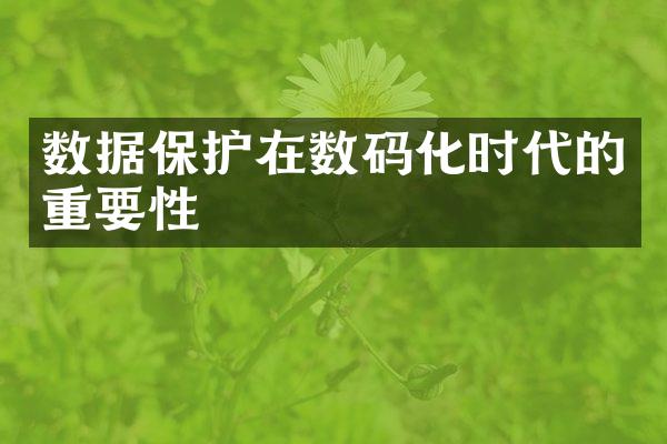 数据保护在数码化时代的重要性