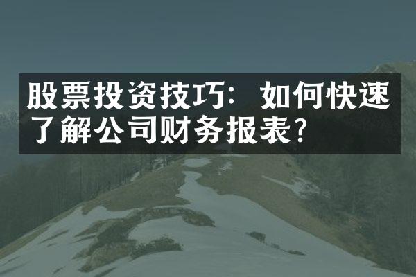 股票投资技巧：如何快速了解公司财务报表？