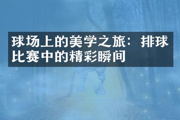 球场上的美学之旅：排球比赛中的精彩瞬间