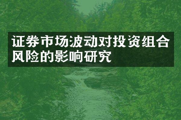 证券市场波动对投资组合风险的影响研究