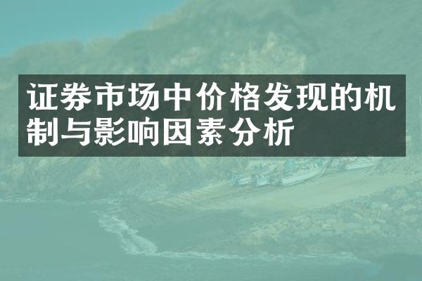 证券市场中价格发现的机制与影响因素分析