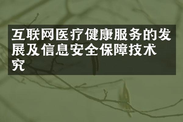 互联网医疗健康服务的发展及信息安全保障技术研究