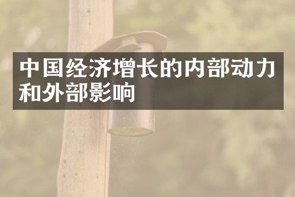 中国经济增长的内部动力和外部影响