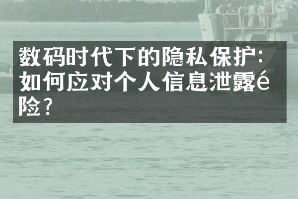 数码时代下的隐私保护：如何应对个人信息泄露风险？