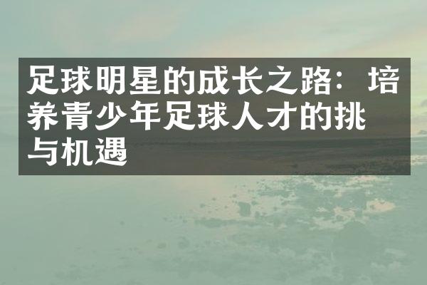 足球明星的成长之路：培养青少年足球人才的挑战与机遇