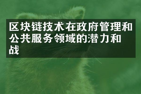 区块链技术在管理和公共服务领域的潜力和挑战