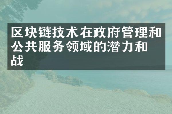 区块链技术在管理和公共服务领域的潜力和挑战