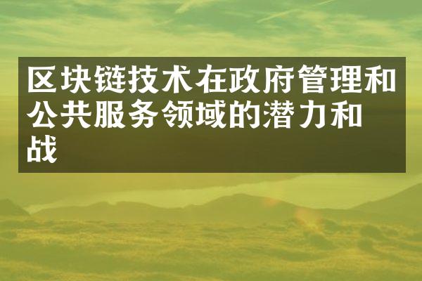 区块链技术在管理和公共服务领域的潜力和挑战