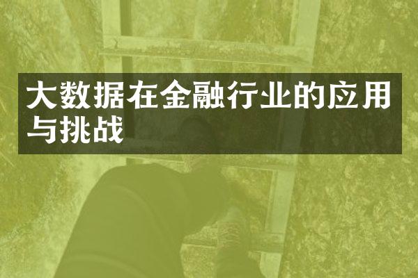 大数据在金融行业的应用与挑战