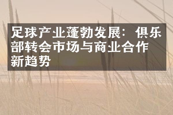 足球产业蓬勃发展：俱乐部转会市场与商业合作的新趋势