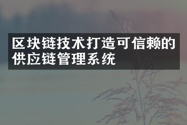 区块链技术打造可信赖的供应链管理系统