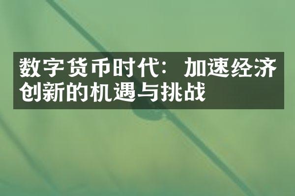 数字货币时代：加速经济创新的机遇与挑战