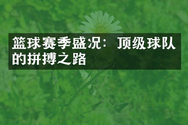 篮球赛季盛况：顶级球队的拼搏之路