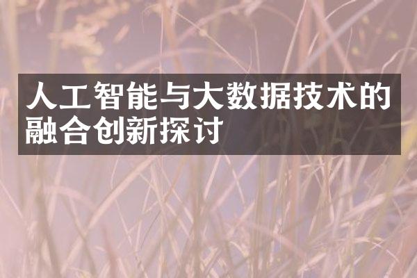 人工智能与大数据技术的融合创新探讨