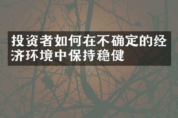 投资者如何在不确定的经济环境中保持稳健