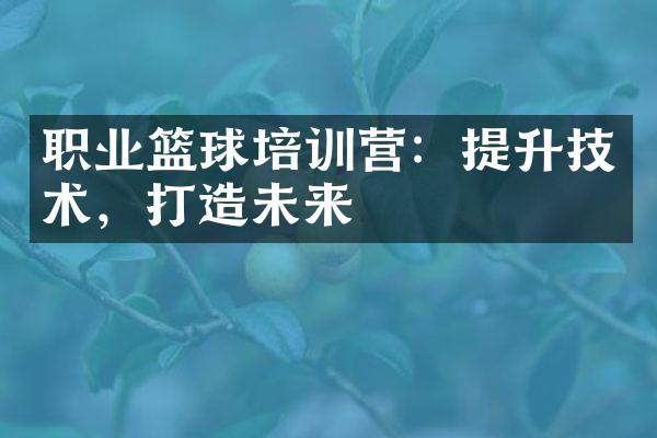 职业篮球培训营：提升技术，打造未来